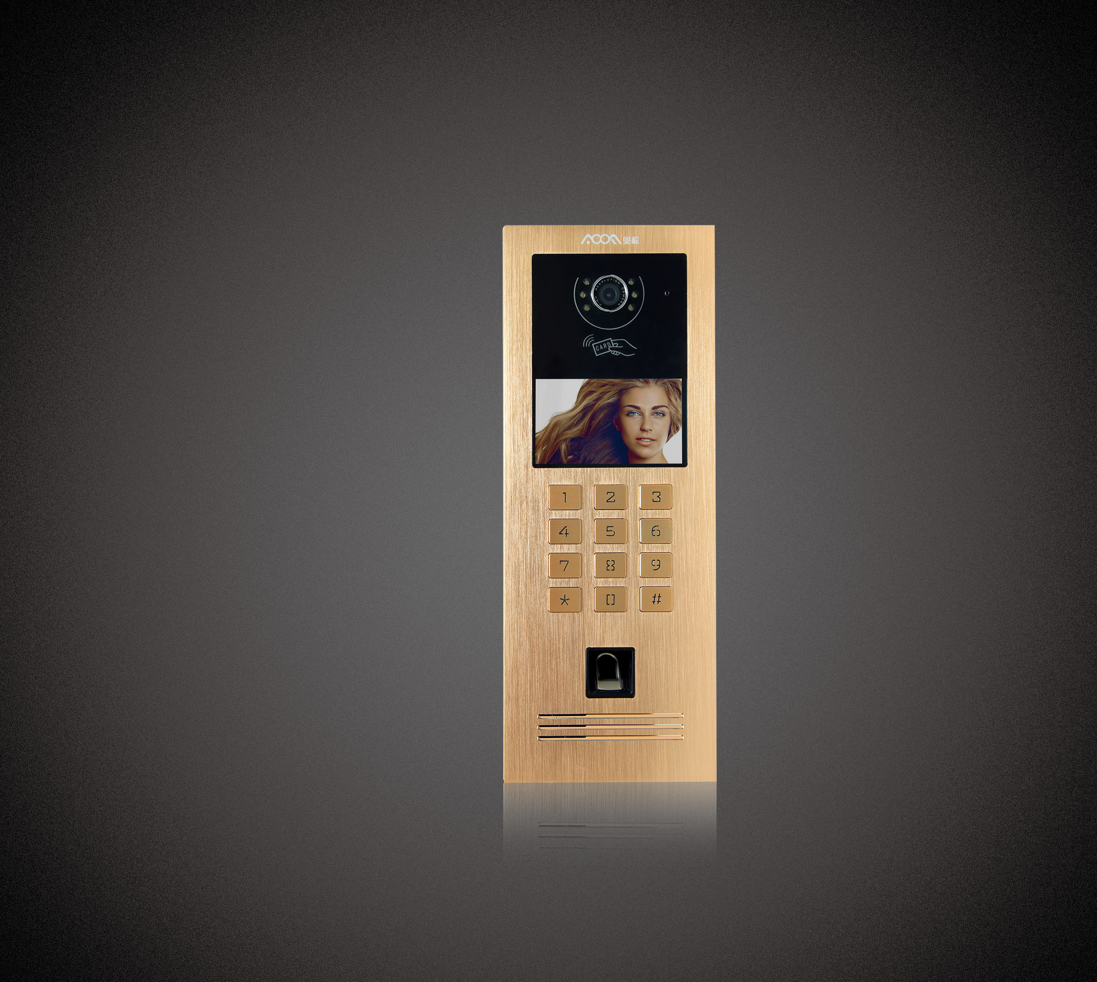 可视对讲主机AOOFDSV-12